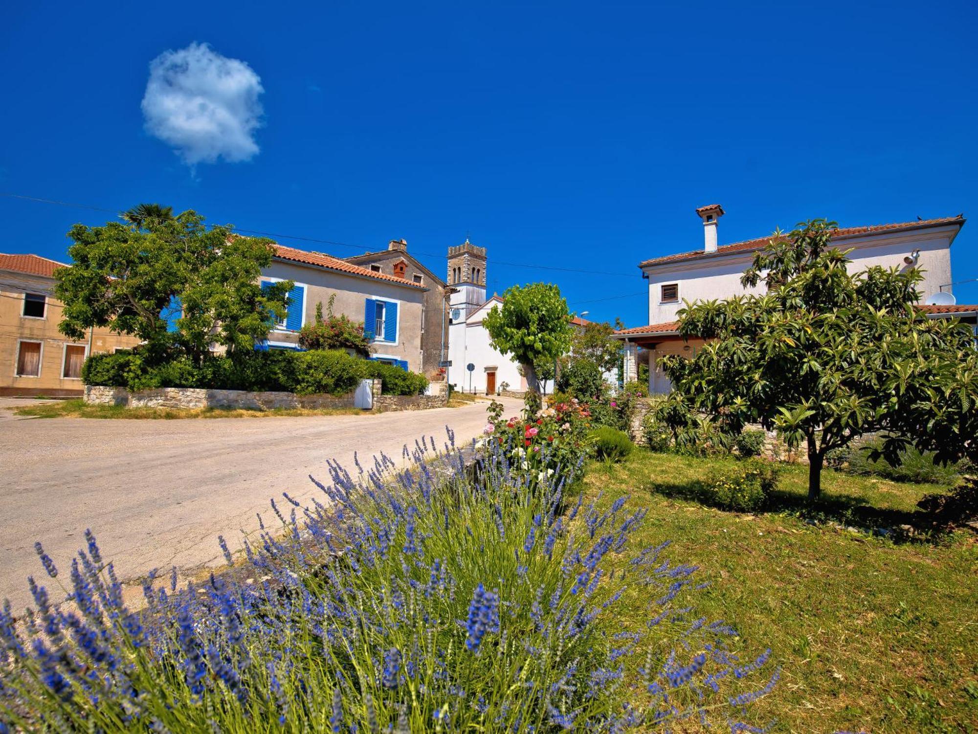 Holiday Home Villa Lucky By Interhome Brtonigla Buitenkant foto